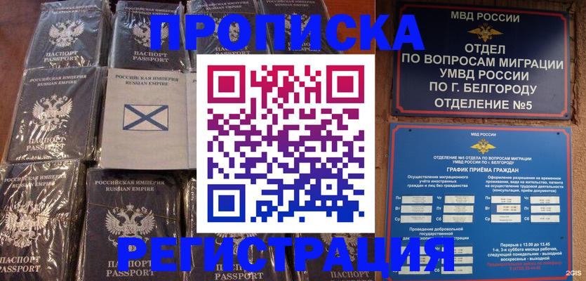 прописка гарантия в Строителе